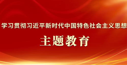学习贯彻习近平新时代中国特色社会主义思想主题教育